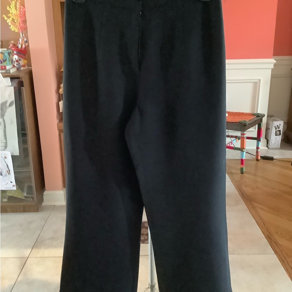 Lined Winter Pants - image 2